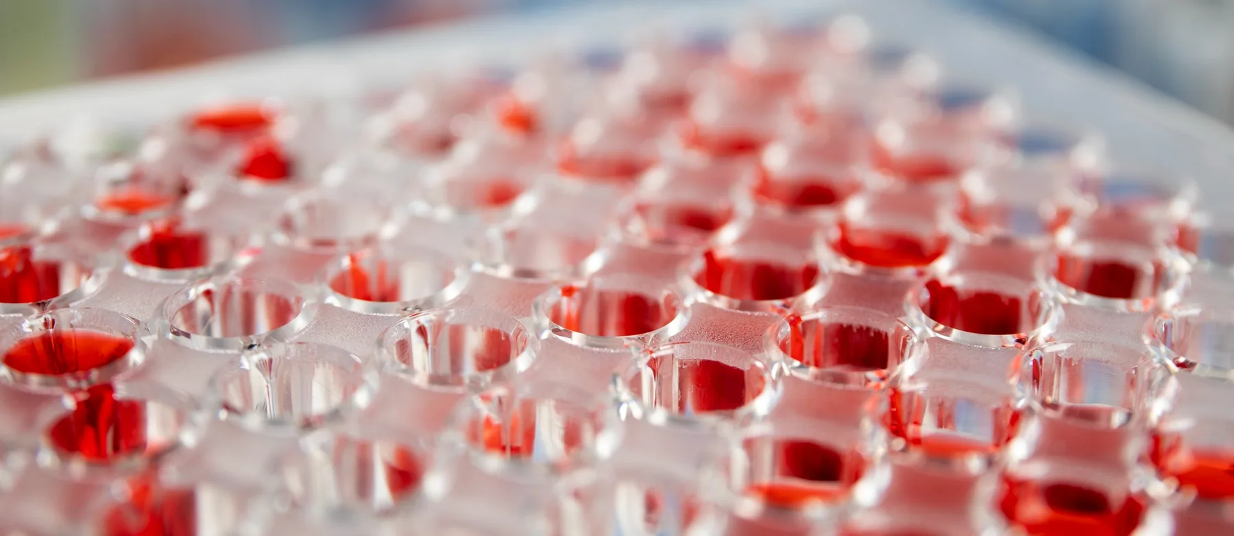 Serialisation and labelling check