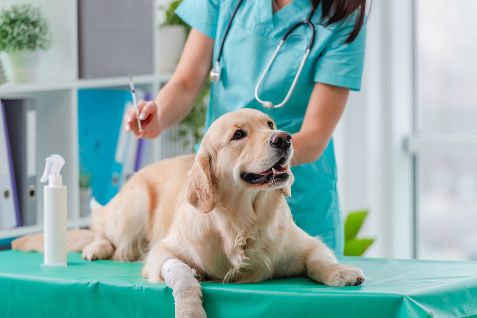 Veterinary
